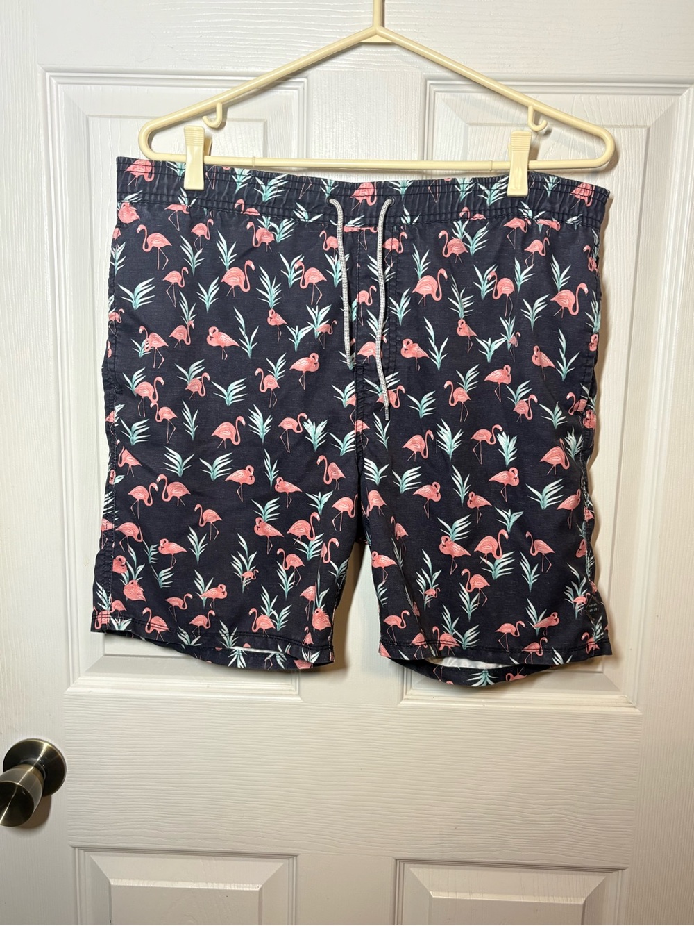 Rip Curl Swim Trunks with Pink Flamingo’s